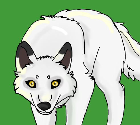 Aniu drawing