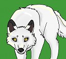 Aniu drawing