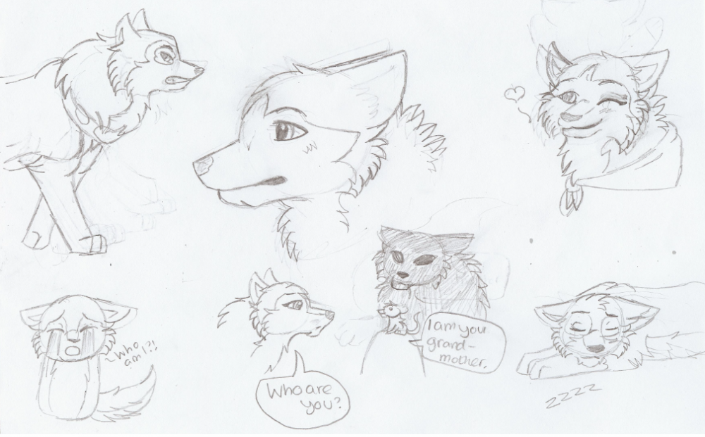 Sketch Dump