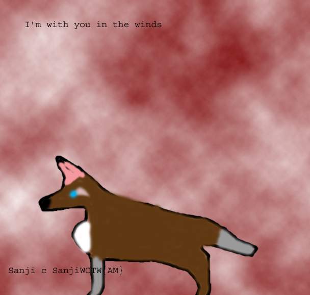 wolf