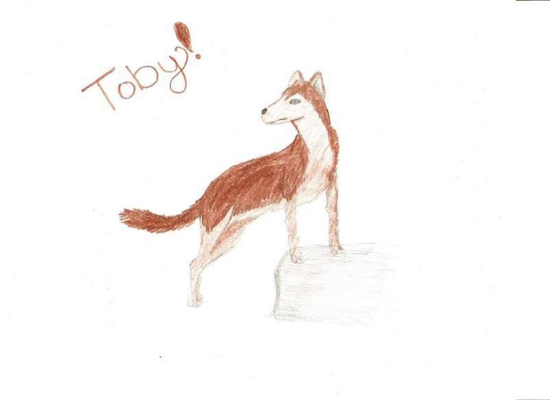 Toby