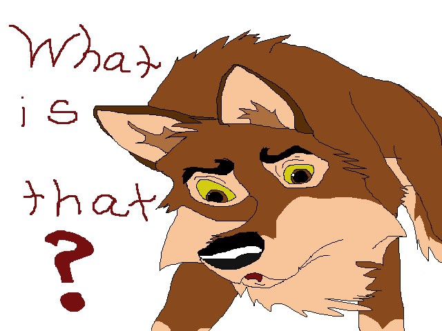 What is that?