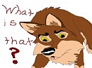 What is that?