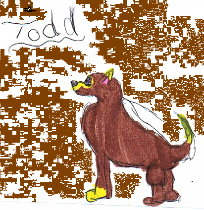 Todd