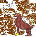 Todd