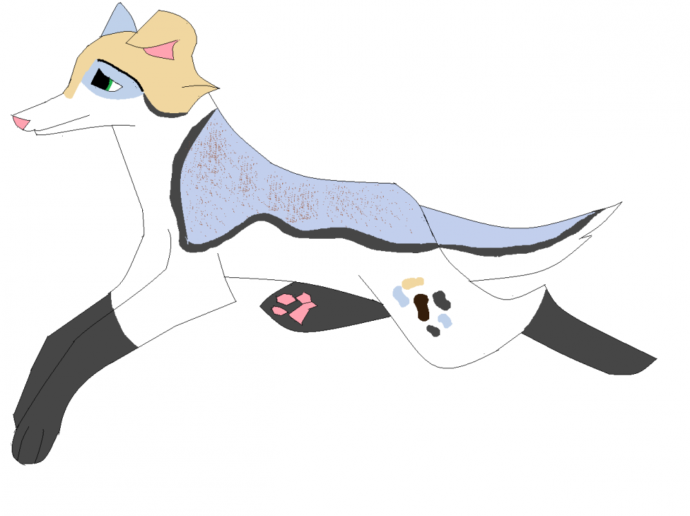 New char