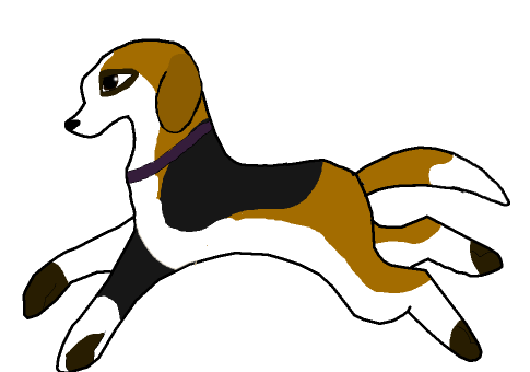 Beagle