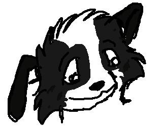 On my new tablet...