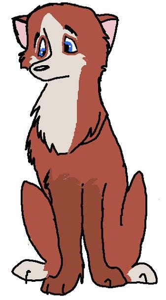 Puppy 8D