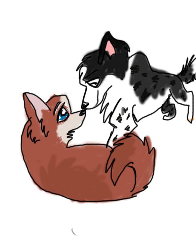 They ARE a couple