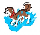 Splashing about