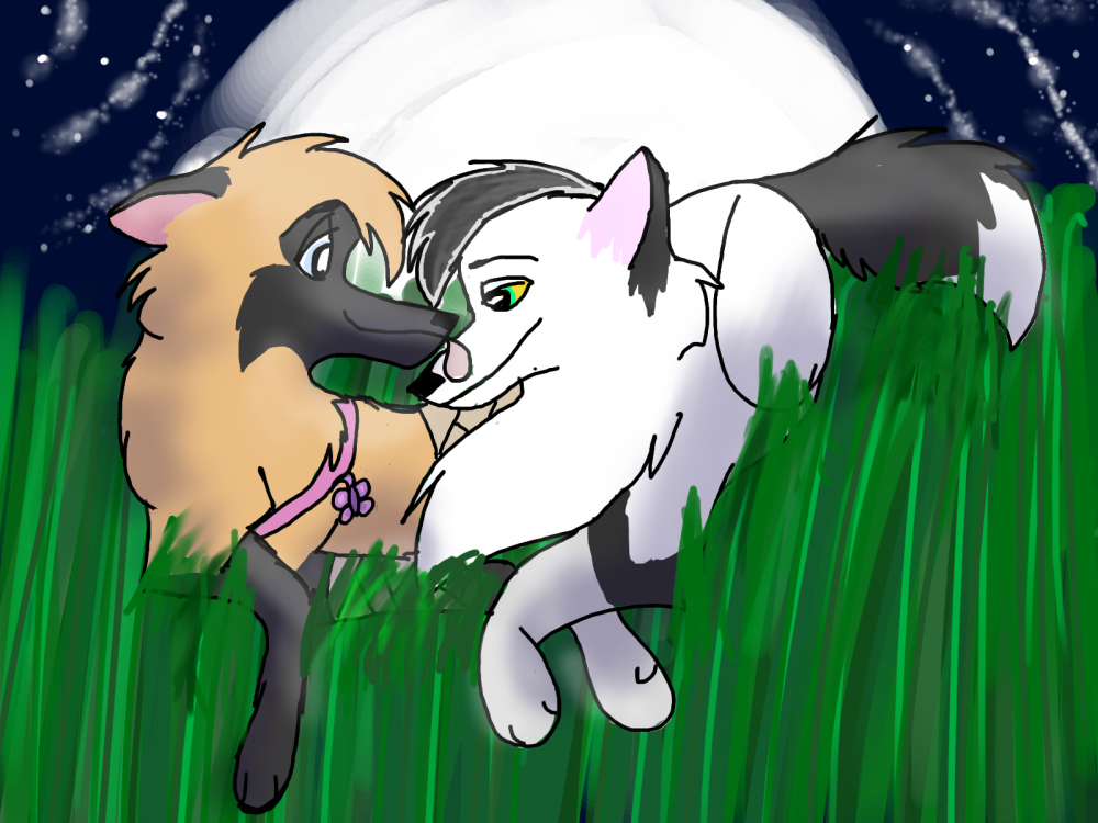 Loving in the moonlighht