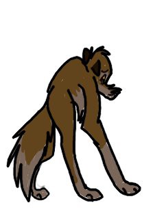 Balto doodle
