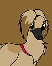Ugly drawing of Joli
