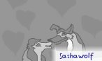 sashawolf