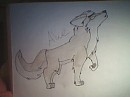 My best Aleu picture