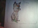 A new fox character