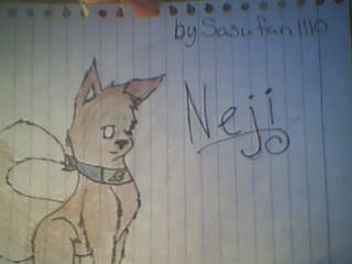 Neji Rules