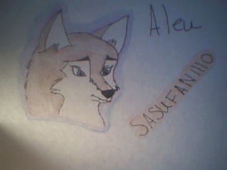 Another Balto Drawing