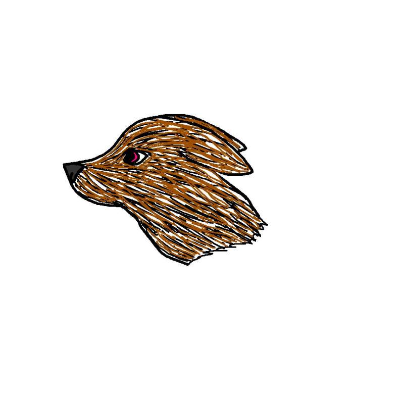 doggy