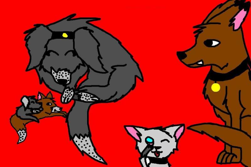 Family except the cat