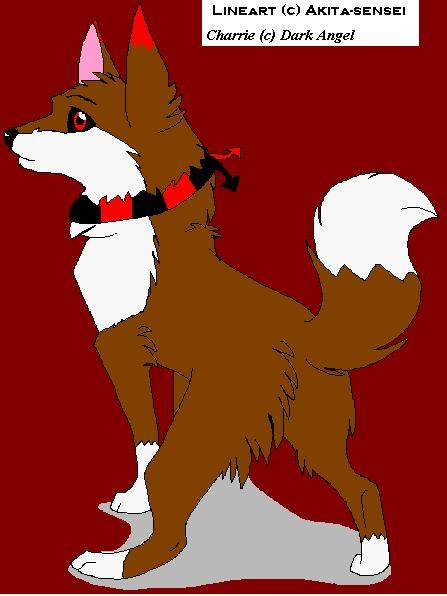 Dark Angel's pup, Kihora