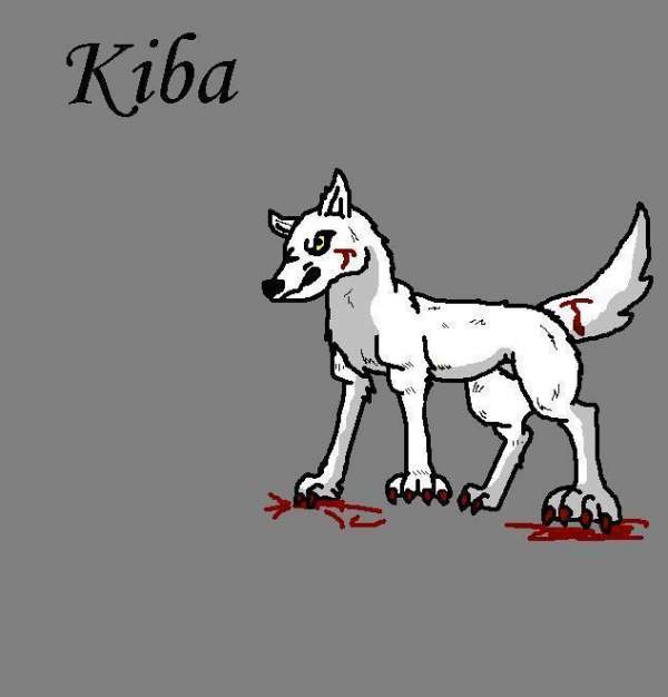 kiba the white wolf