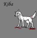 kiba the white wolf