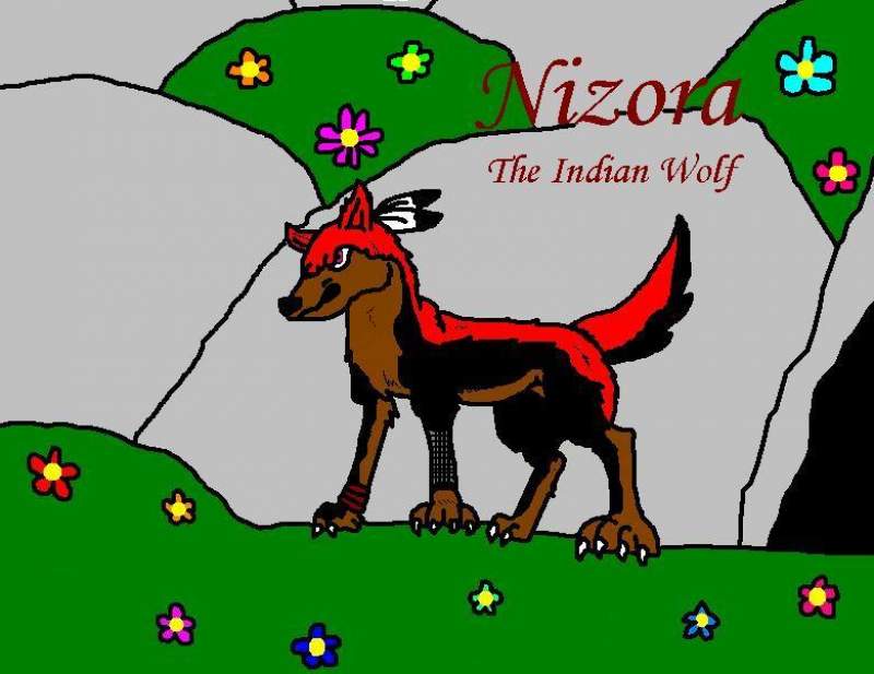 nizora teh Indian Wolf