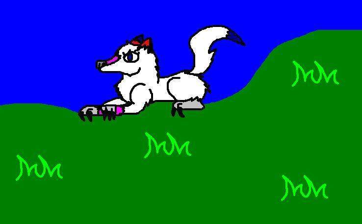 Iceshadow as a wolf