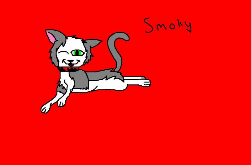 Smokey the cat