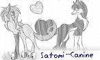 Satomi_Canine