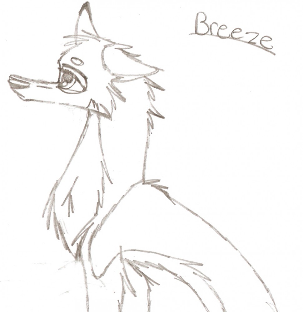 Breeze