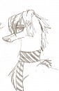 Mio Avatar