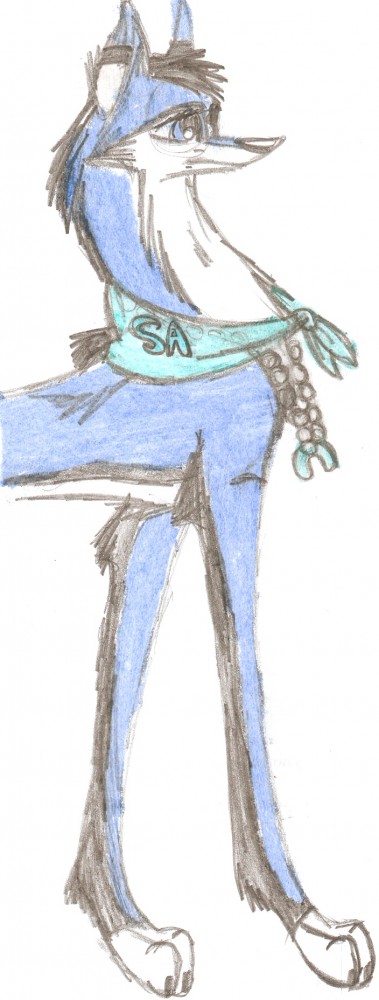 Request from Ada the Animal