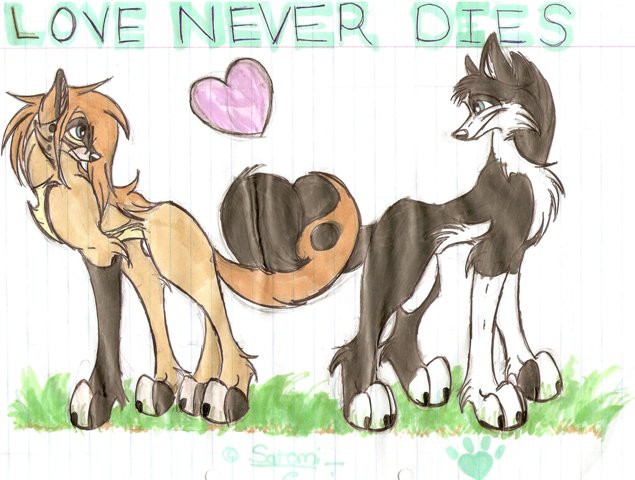 Love Never Dies