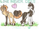 Love Never Dies