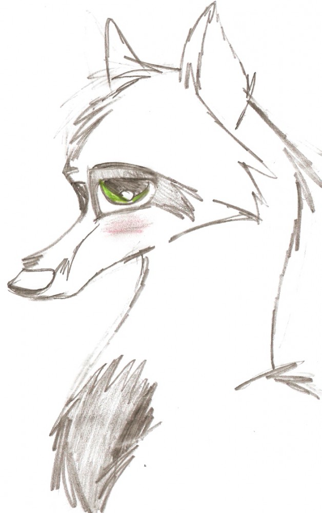 Eagle Head Shot