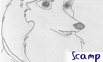 scamp