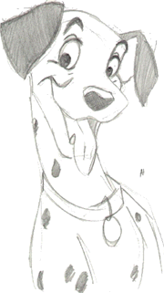 Pongo