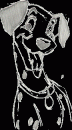 Pongo