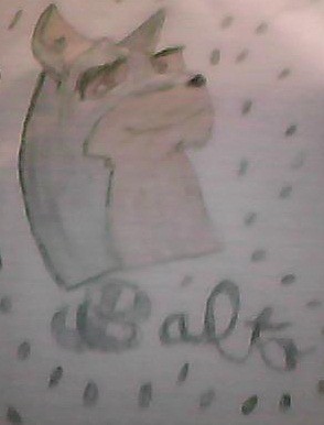 Balto