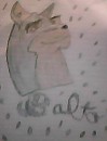 Balto