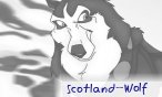 Scotland_Wolf