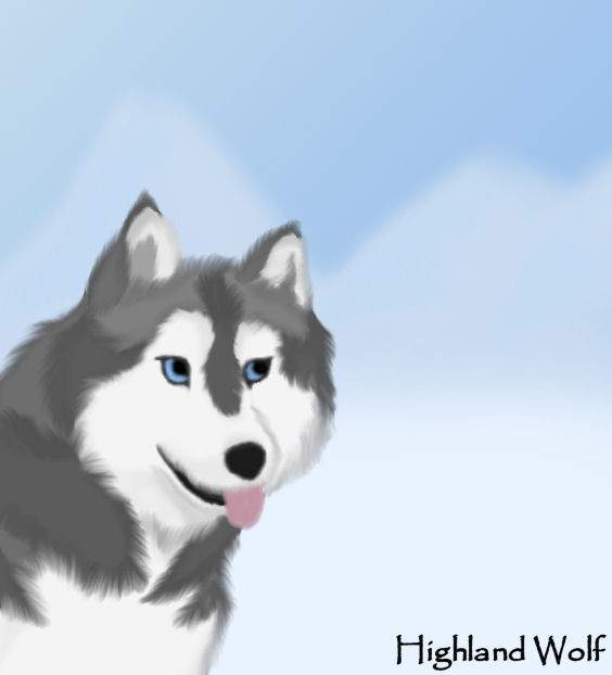 Husky!