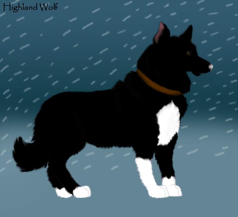 The Real Balto