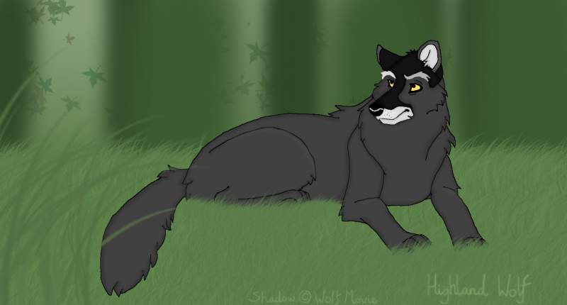 The Forest is Watching