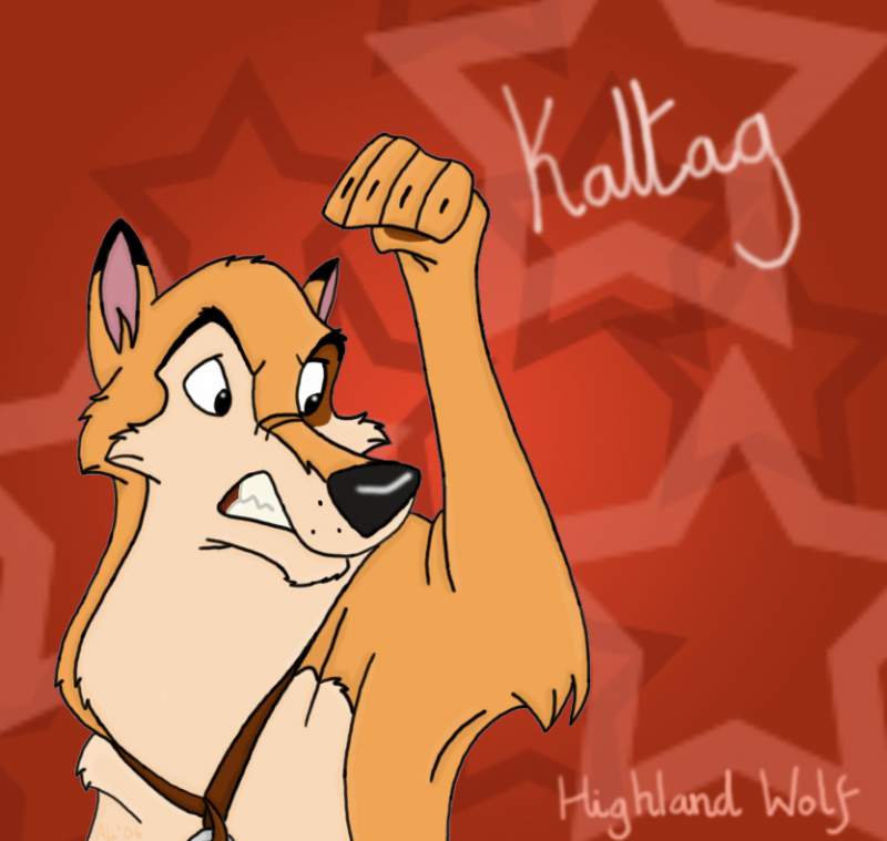 It's Kaltag everybody!