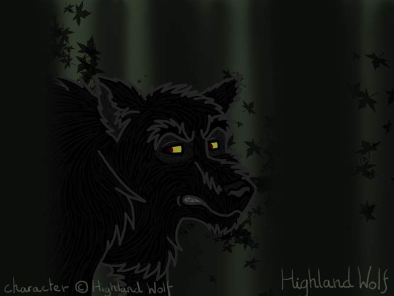 Shadow Wolf lurking in the woods...