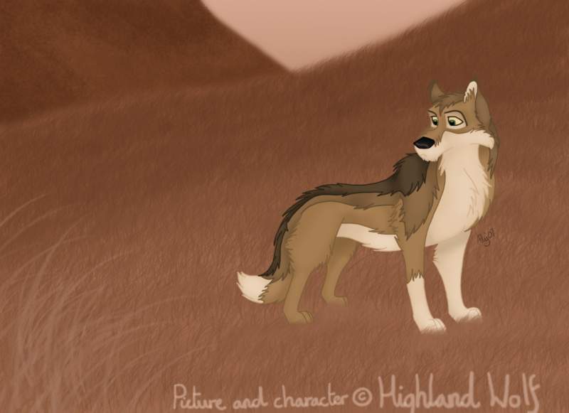 Highland